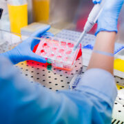 Unicive irá lançar três editais para projetos de iniciação científica